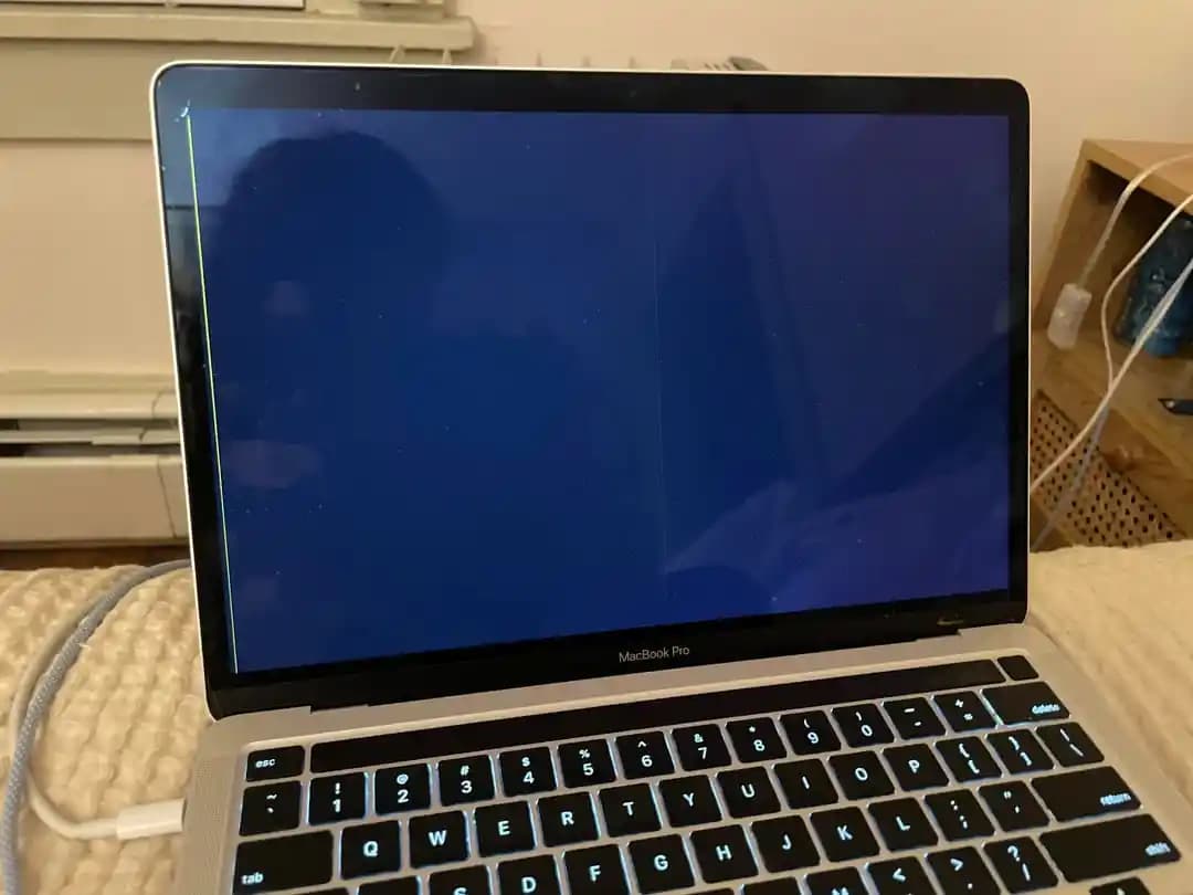 Kedilerin MacBook'a Verdiği Hasar ve Onarım Seçenekleri: Maliyet ve Çözümler