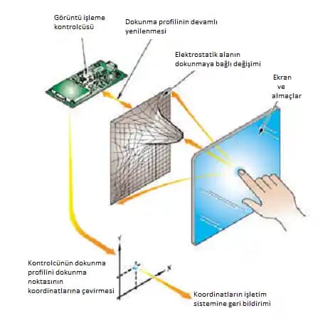 Kapasitif Ekranlar: Modern Dokunmatik Teknolojinin Temel Özellikleri ve Kullanım Alanları