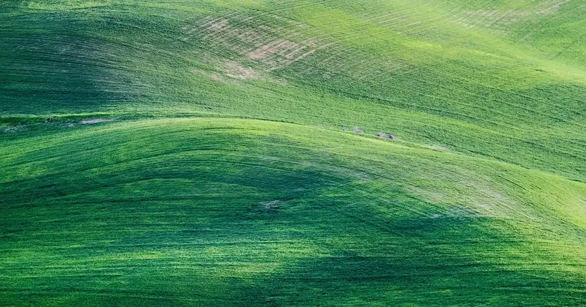 Akıllı Çocuk Saatleri: Güvenlik, Kontrol ve Eğlence Sunan Modern Teknoloji Çözümleri